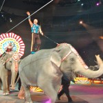 Ringling Brothers IS Supercharged