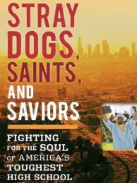 Stray Dogs, Saints and Saviors=School Reform.